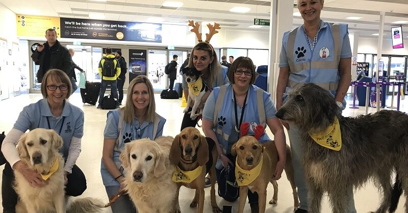 can you take a dog into an airport