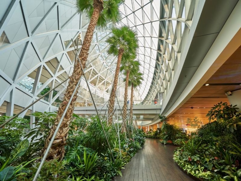 How nature is being used in airport design to calm travellers