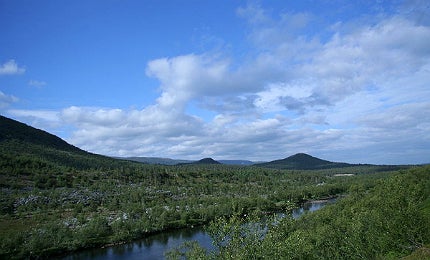 Stabbursdalen National Park